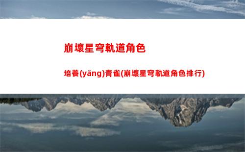 崩壞星穹軌道私人服(崩壞星穹軌道國(guó)際服)
