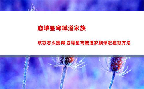 XXN是什么意思