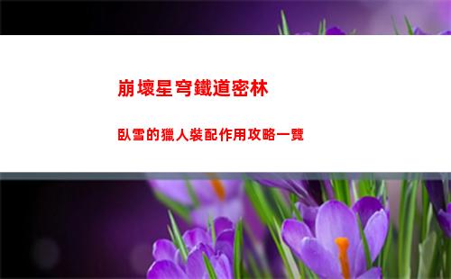 崩壞星穹鐵道密林臥雪的獵人裝配作用攻略一覽