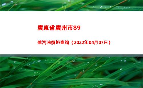 廣東省廣州市89號汽油價格查詢（2022年04月07日）