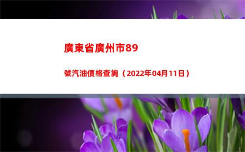 廣東省廣州市89號汽油價格查詢（2022年04月11日）
