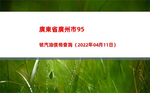 廣東省廣州市95號汽油價格查詢（2022年04月11日）