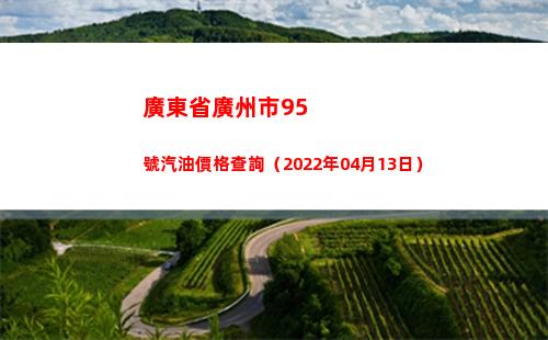 廣東省廣州市95號汽油價格查詢（2022年04月13日）