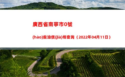 廣西省南寧市0號(hào)柴油價(jià)格查詢（2022年04月11日）