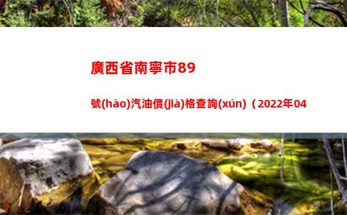 廣西省南寧市89號(hào)汽油價(jià)格查詢(xún)（2022年04月18日）