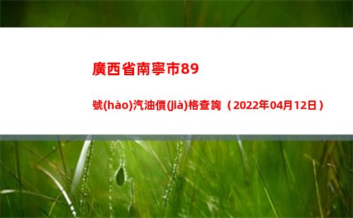 廣西省南寧市89號(hào)汽油價(jià)格查詢（2022年04月12日）