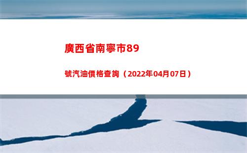 廣西省南寧市89號汽油價格查詢（2022年04月07日）