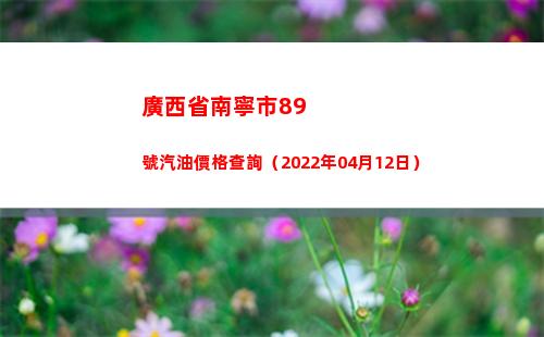 廣西省南寧市89號汽油價格查詢（2022年04月12日）