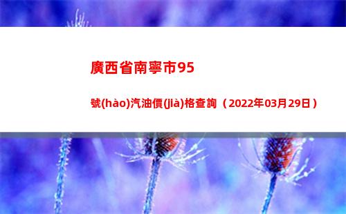 廣西省南寧市95號(hào)汽油價(jià)格查詢（2022年03月29日）