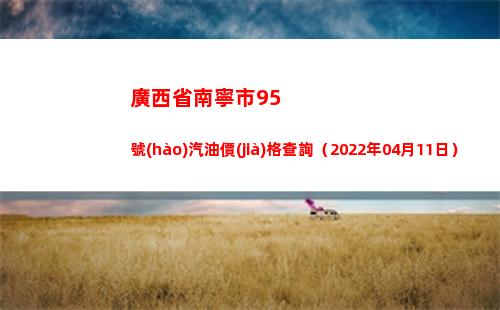 廣西省南寧市95號(hào)汽油價(jià)格查詢（2022年04月11日）插圖