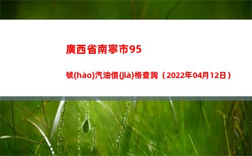 廣西省南寧市95號(hào)汽油價(jià)格查詢（2022年04月12日）插圖