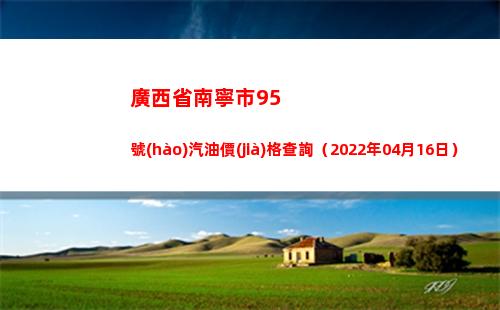 廣西省南寧市95號(hào)汽油價(jià)格查詢（2022年04月16日）插圖