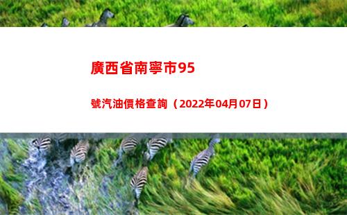 廣西省南寧市95號汽油價格查詢（2022年04月07日）