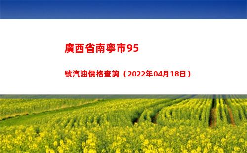 廣西省南寧市95號汽油價格查詢（2022年04月18日）