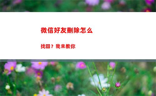 微信好友刪除怎么找回？我來教你(微信好友刪除怎么用郵箱找回來)