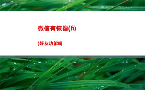 微信有恢復(fù)好友功能嗎(微信不花錢恢復(fù)好友)