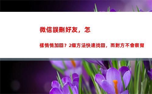 微信誤刪好友，怎樣悄悄加回？2個方法快速找回，而對方不會察覺(微信誤刪好友怎么找回來)
