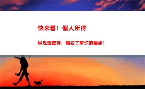 省時便捷查詢個稅，讓你輕松掌握稅務情況！