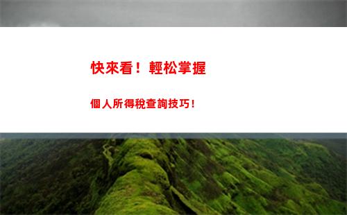 免費打印個稅清單，一鍵查詢你的稅費！