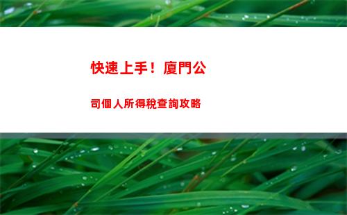 個人所得稅納稅查詢(個人所得稅納稅記錄查詢驗證碼)