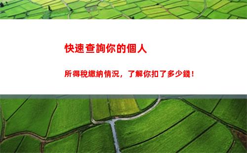 快來查看個人所得稅發票查詢方法，輕松查詢納稅情況！