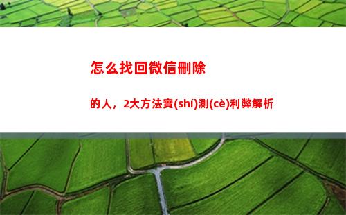 怎么找回微信刪除的人，2大方法實(shí)測(cè)利弊解析(怎么找回微信刪除的人)