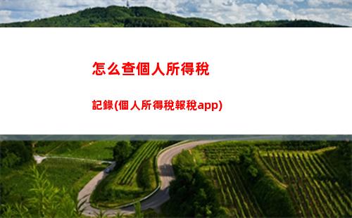 個人所得稅初稿(個人所得稅繳費記錄查詢)