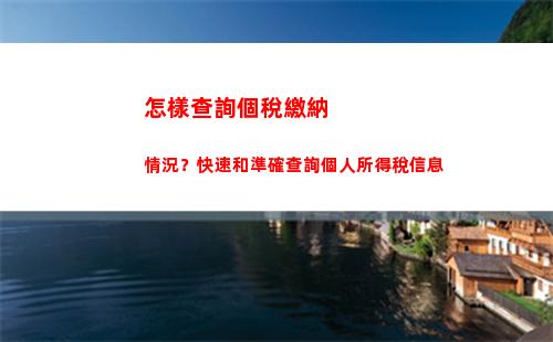 網上怎樣查個人所得稅(怎樣查個人所得稅明細)