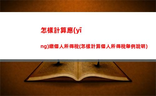 收入有限，減稅有道！個人所得稅計算公式全面解密！ (27個字符)