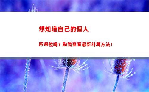 快速查詢個人所得稅！如何計算月份個稅？點擊獲取答案！ (字符數：42)