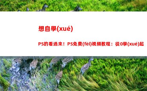 想自學(xué)PS的看過來！PS免費(fèi)視頻教程：從0學(xué)起+完整系統(tǒng)學(xué)習(xí)