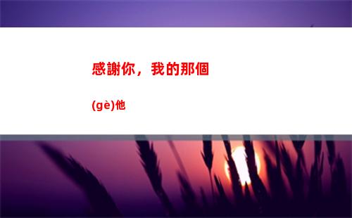 感謝你，我的那個(gè)他(感謝你曾經(jīng)來過)