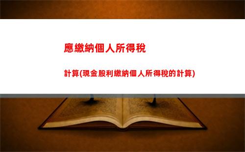個人所得稅計算器(個人所得稅計算器公式)