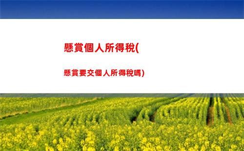 自己3個人所得稅(自己個人所得稅如何上交)