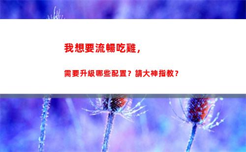 我想要流暢吃雞，需要升級哪些配置？請大神指教？(我想要吃雞的頭像)
