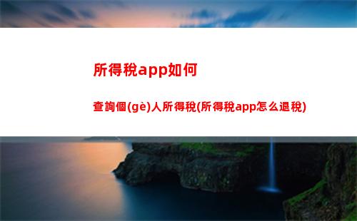 快速查詢自己的個(gè)稅繳納情況，輕松理財(cái)！
