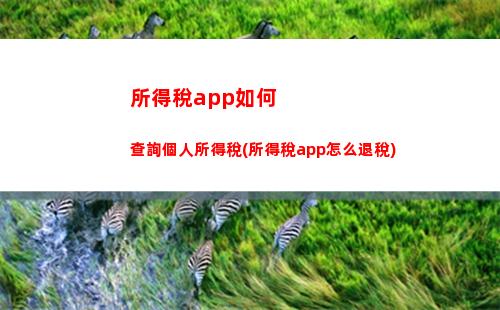 快速查詢自己的個稅繳納情況，輕松理財！