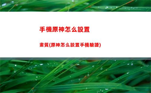 雙巖隊原神(為什么原神巖隊一直不是T0)