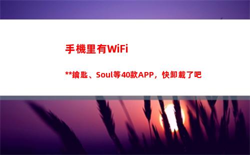 手機里有WiFi萬能鑰匙、Soul等40款APP，快卸載了吧(手機里有wifi天線嗎)