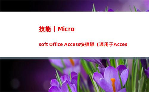 技能丨Microsoft Office Access快捷鍵（適用于Access2013/2016）