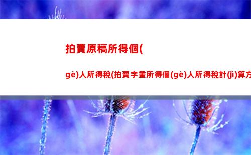 工資個(gè)人所得稅計(jì)算器(重慶工資個(gè)人所得稅計(jì)算器)