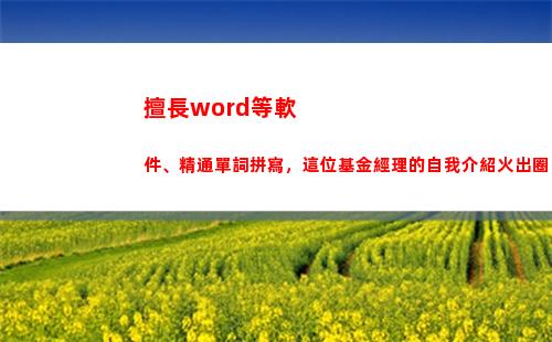 擅長word等軟件、精通單詞拼寫，這位基金經理的自我介紹火出圈(擅長word等軟件)