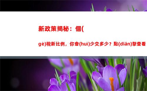 最高可享受98%提成比例！個(gè)人所得稅計(jì)算輕松搞定