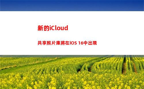 新的iCloud共享照片庫將在iOS 16中出現(新的mdm有效負載與舊的有效負載不匹配)