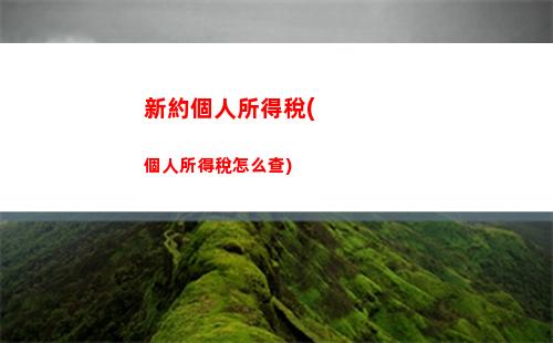 快來了解個人所得稅電腦端登錄，輕松查詢個稅余額！