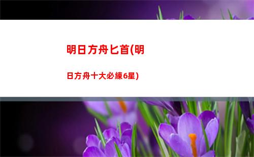 明日方舟白金(明日方舟白金精二立繪)