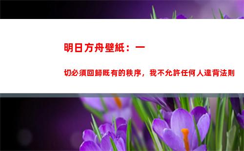 明日方舟壁紙：一切必須回歸既有的秩序，我不允許任何人違背法則(明日方舟動態壁紙)