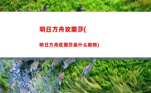 明日方舟榮耀(明日方舟榮耀套餐)