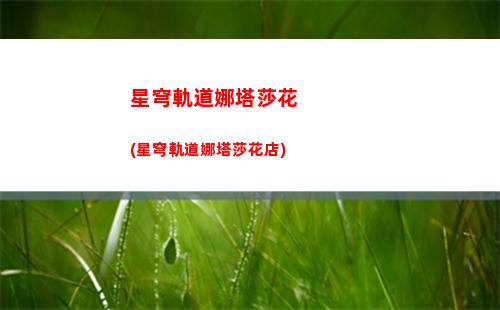 星穹軌道配隊新手(星穹軌道崩壞)