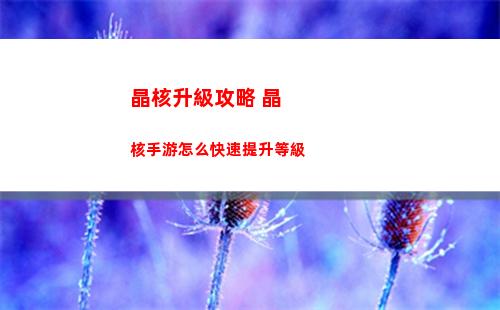 金鏟鏟之戰源計劃4精英陣容如何搭配